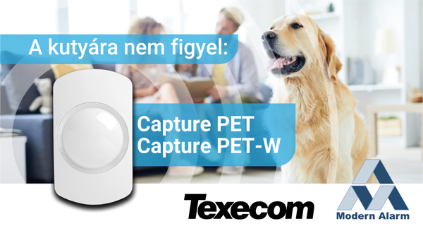 A kutyára nem figyel: Capture PET a Modern Alarm Kft-nél