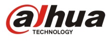 Dahua Technology Hungary Kft